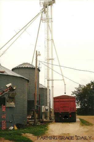 Farm Grain Elevator Leg