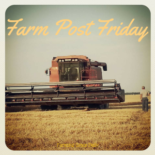 Farm Post Fridays