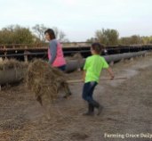 farm mom daughter cattle 2017
